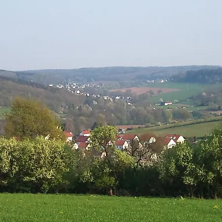 Гостевой дом Und Frankenthal - Garni 3*
