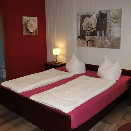 Und Frankenthal - Garni 3* Gera