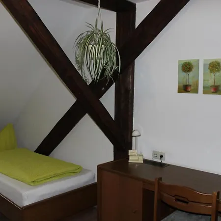 Und Frankenthal - Garni 3* Гера