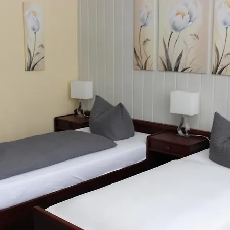 Гостевой дом Und Frankenthal - Garni 3*